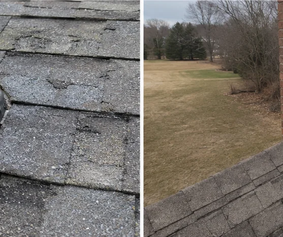 Roof Inspection in Russell, MN